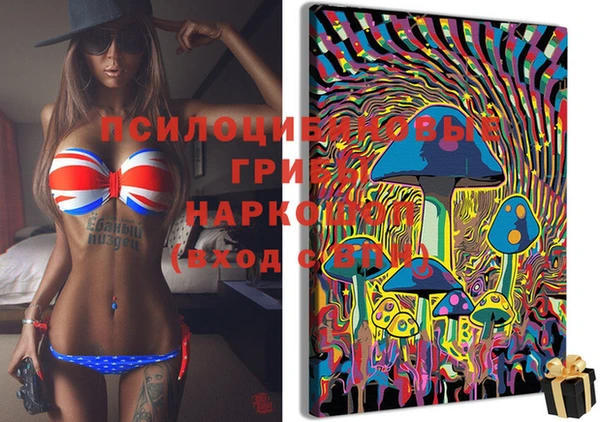 твердый Белокуриха
