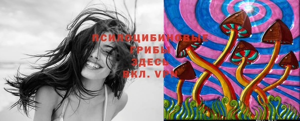 ешки Белоозёрский