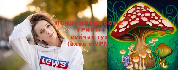 бошки Богородск